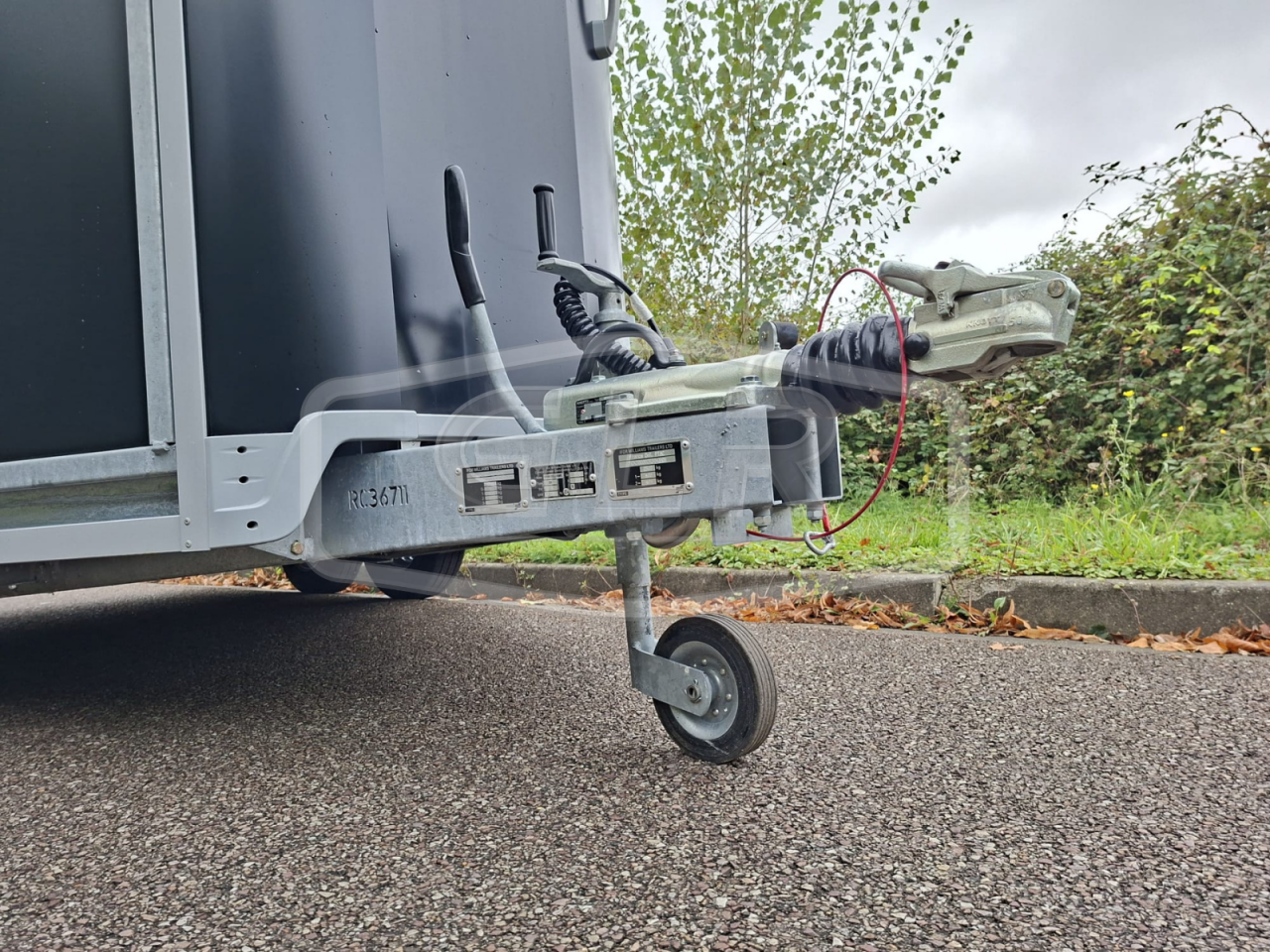 Van caballos Ifor Williams HB 511 PONT PORTE 2 Caballos 2025 Nuevo