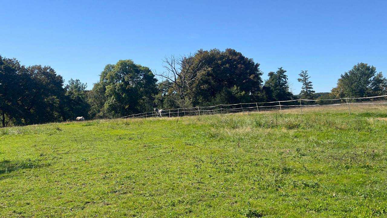 Propiedad ecuestre En venta Landas