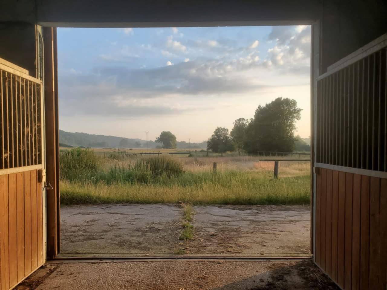 Acaballadero En venta Yonne