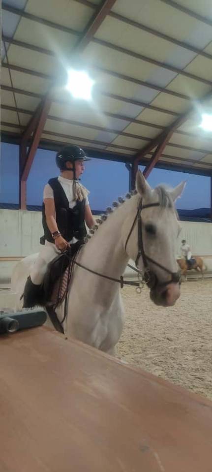 Caballo 6 años iniciado en salto