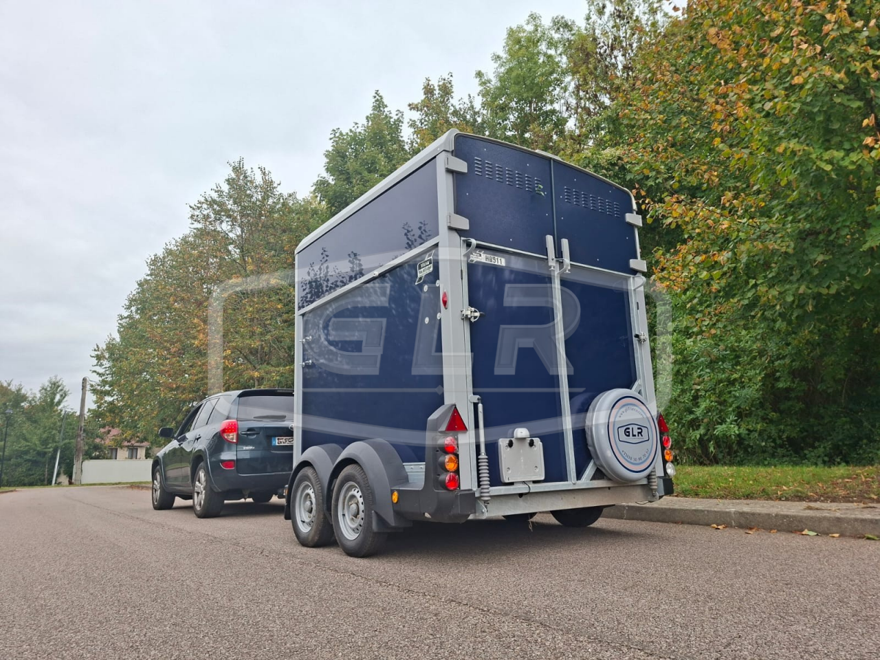 Van caballos Ifor Williams HB 511 2 Caballos 2025 Nuevo