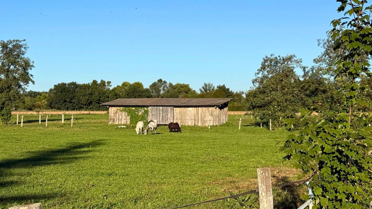 Centro ecuestre En venta Tarn