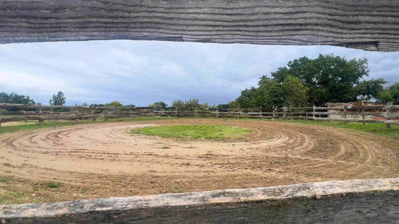 Centro ecuestre En venta Tarn