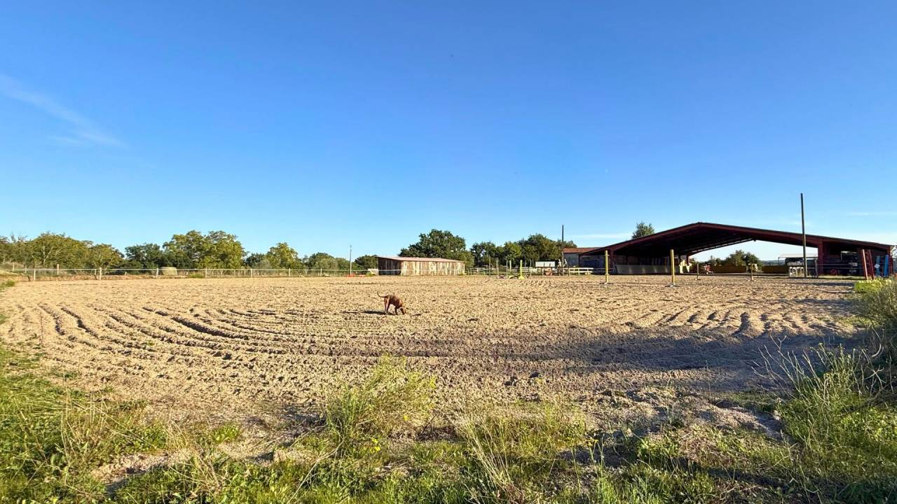 Centro ecuestre En venta Tarn