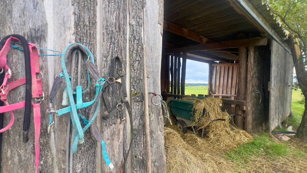 Centro ecuestre En venta Tarn