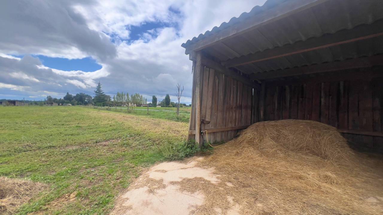 Centro ecuestre En venta Tarn