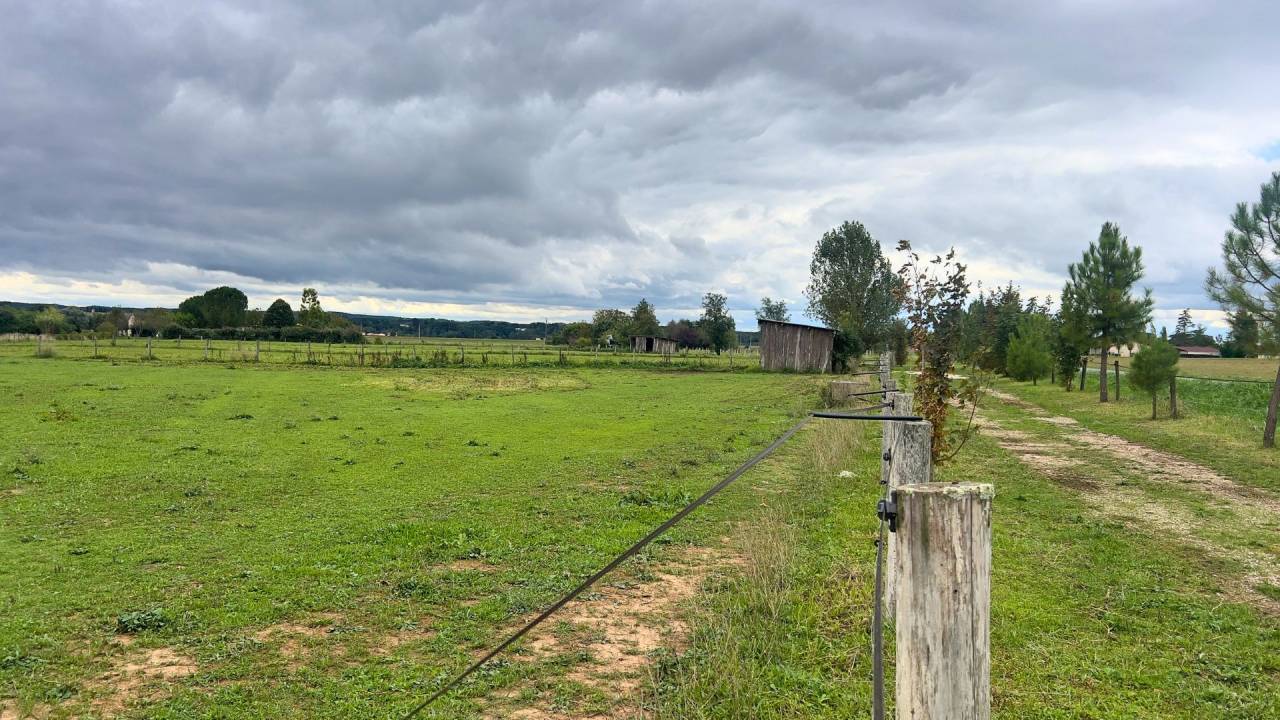 Centro ecuestre En venta Tarn