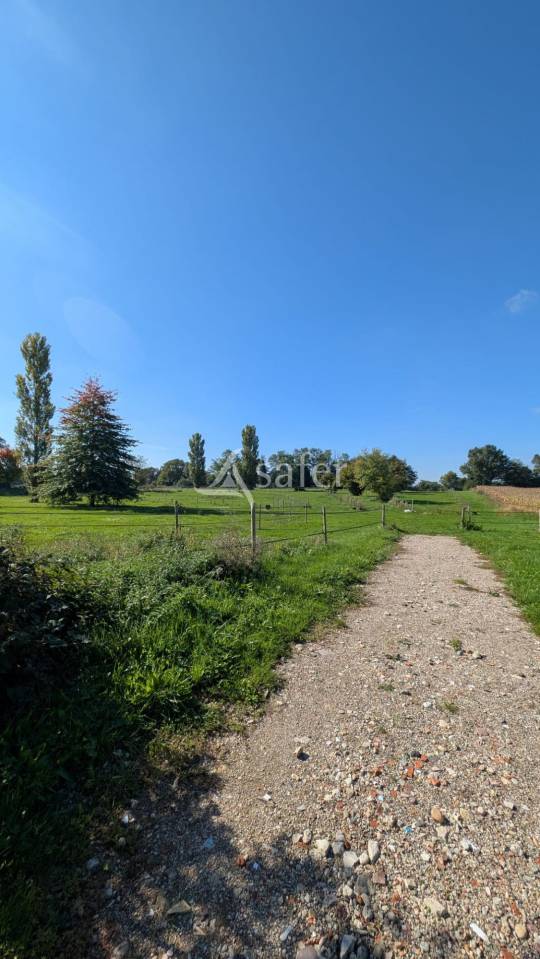 Propiedad ecuestre En venta Ain