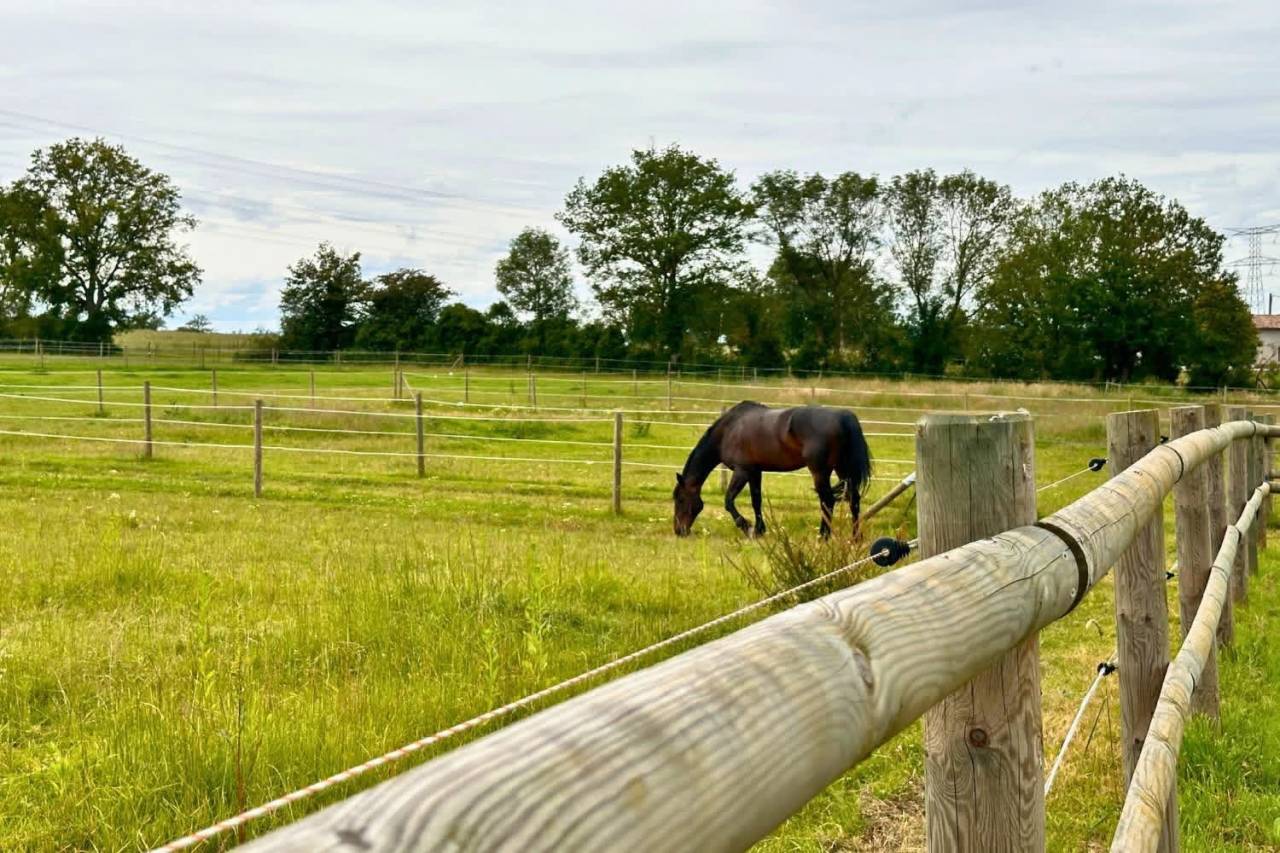 Propiedad ecuestre En venta Ain