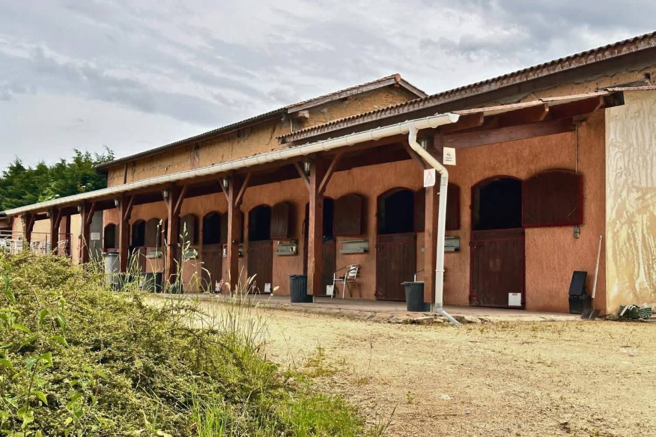 Propiedad ecuestre En venta Ain