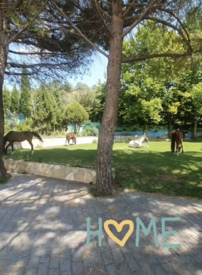 Finca Ecuestre con 2 Viviendas e Instalaciones Hipicas