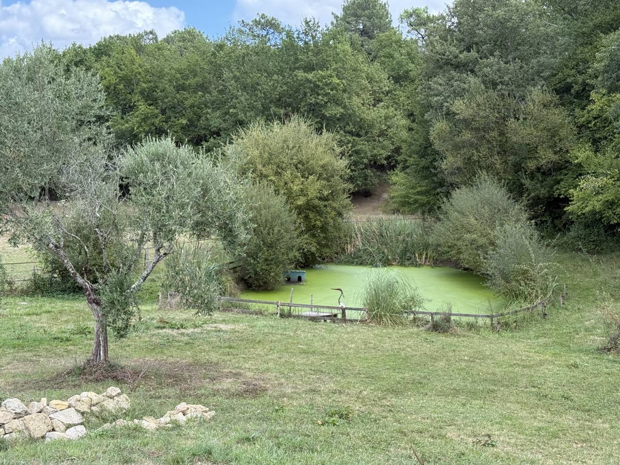 Propiedad ecuestre En venta Gironda