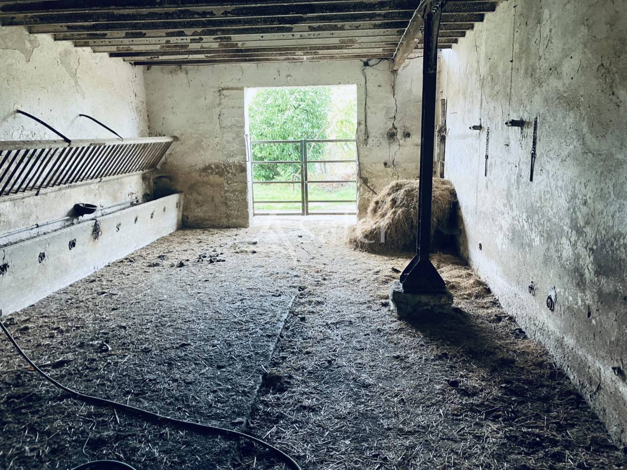 Explotación ovina En venta Nièvre