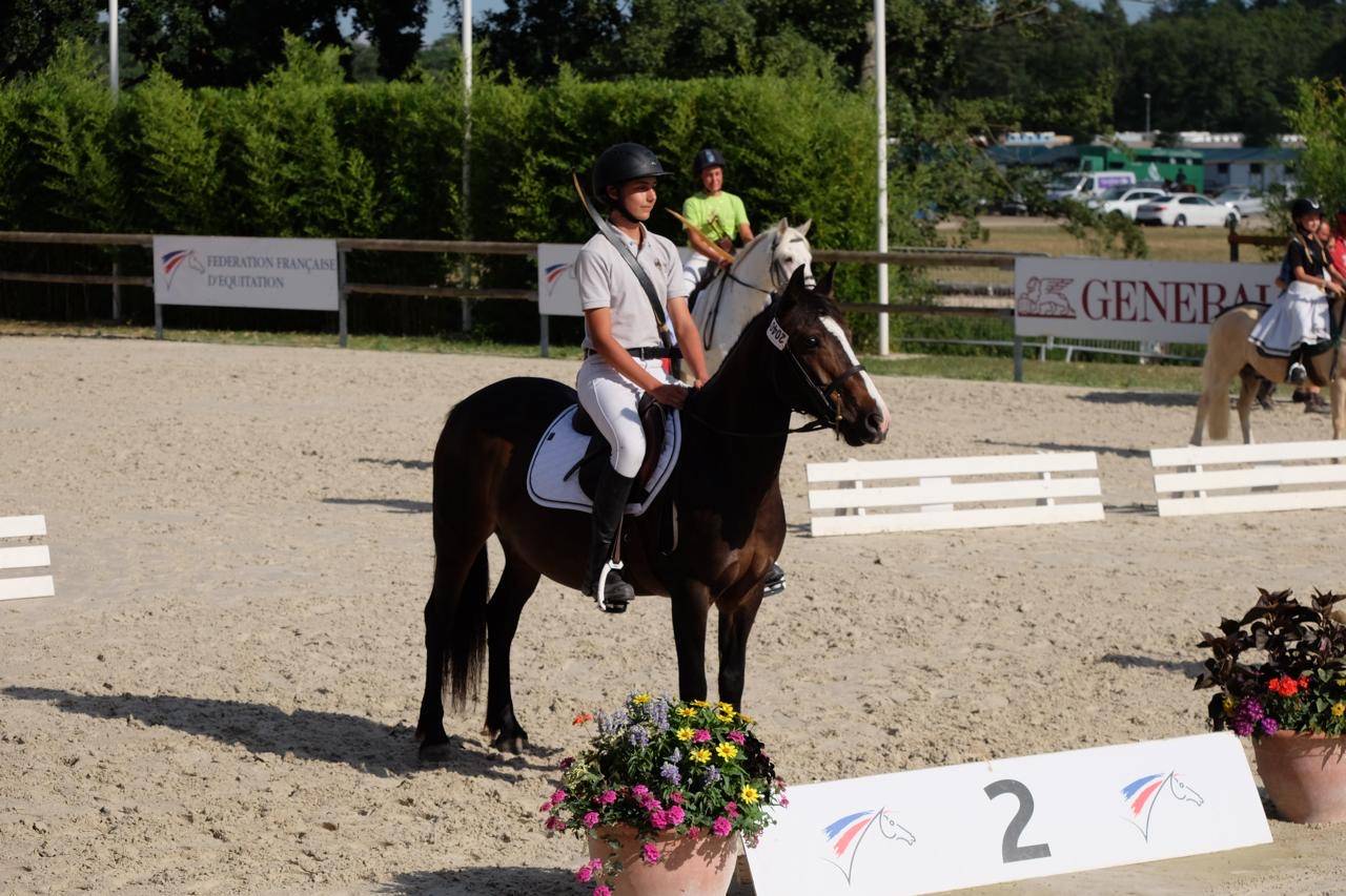 Yegua Otra Raza de Poni En venta 2013 Bayo moreno