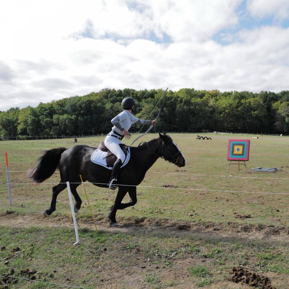 Yegua Otra Raza de Poni En venta 2013 Bayo moreno