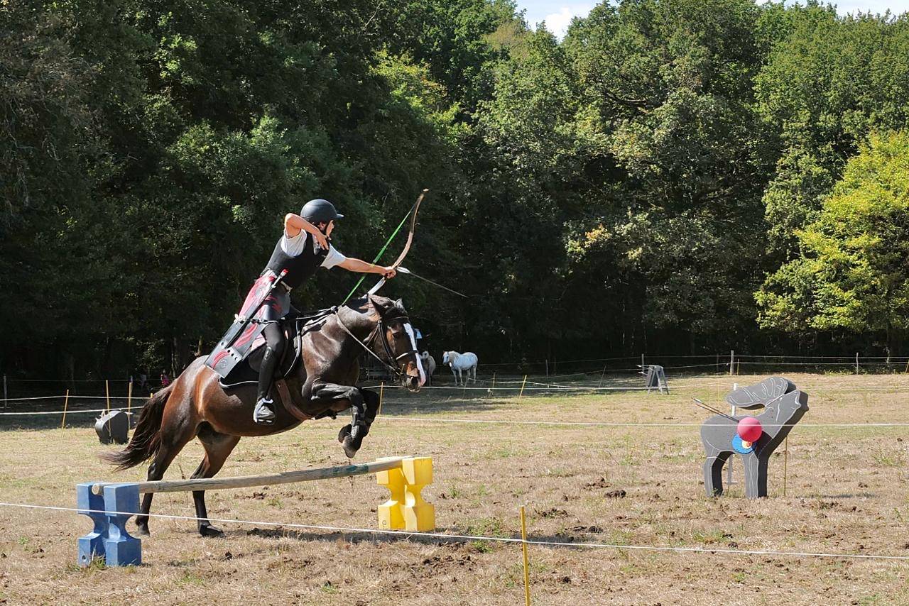 Yegua Otra Raza de Poni En venta 2013 Bayo moreno