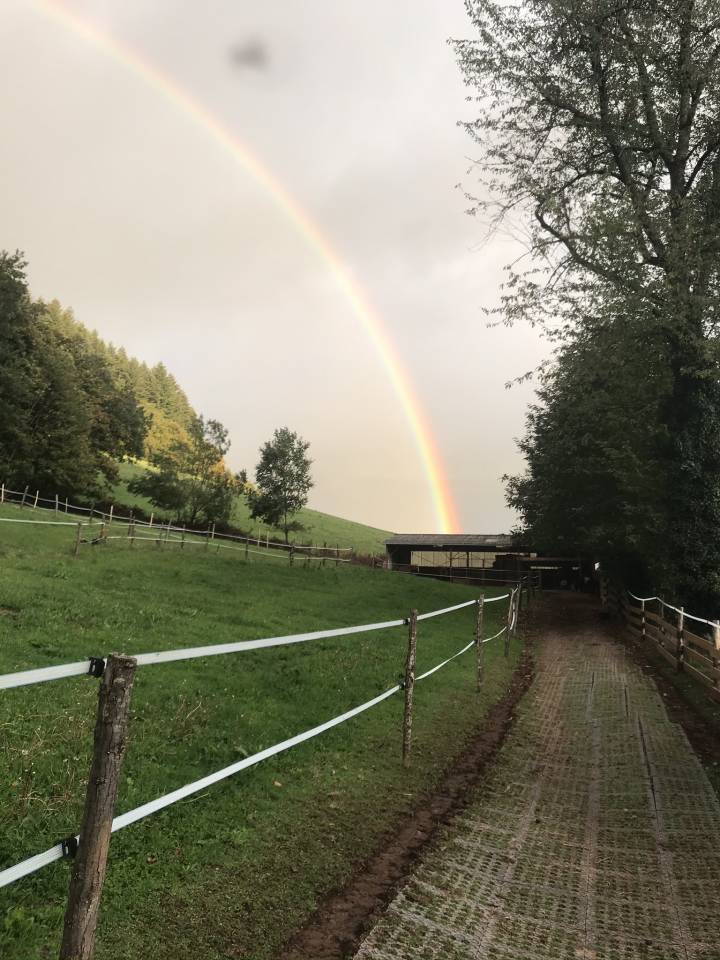 Bonita residencia ecuestre En venta Cantal