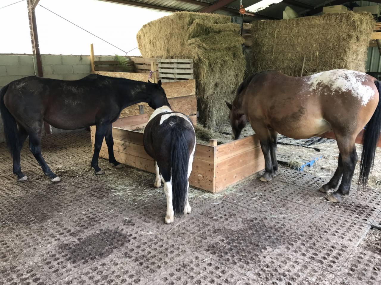 Bonita residencia ecuestre En venta Cantal