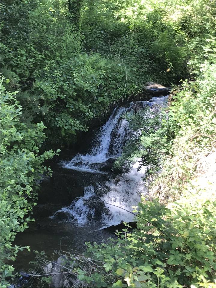 Bonita residencia ecuestre En venta Cantal