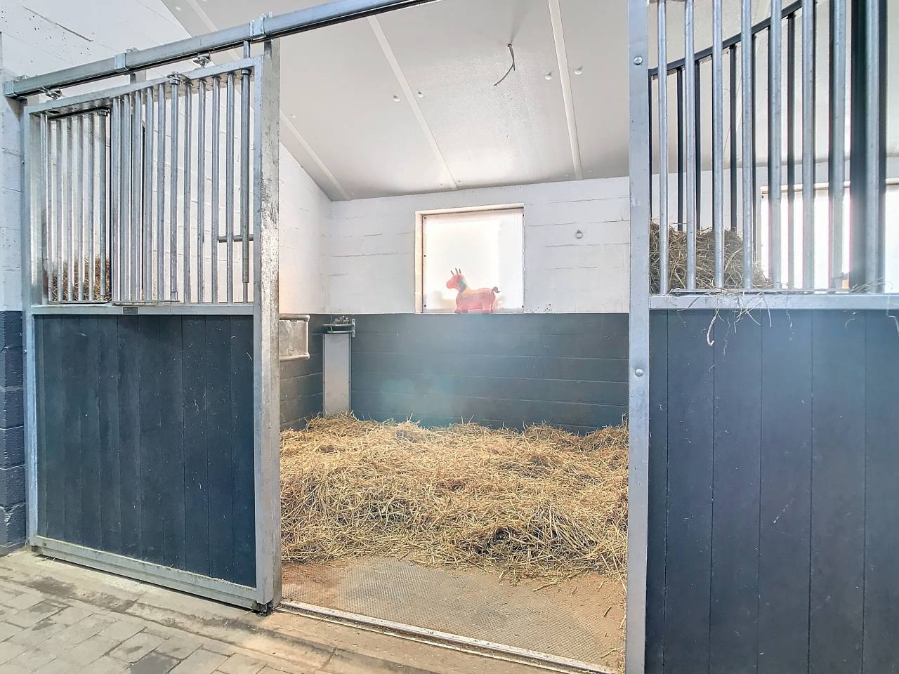 Centro ecuestre En venta Liège