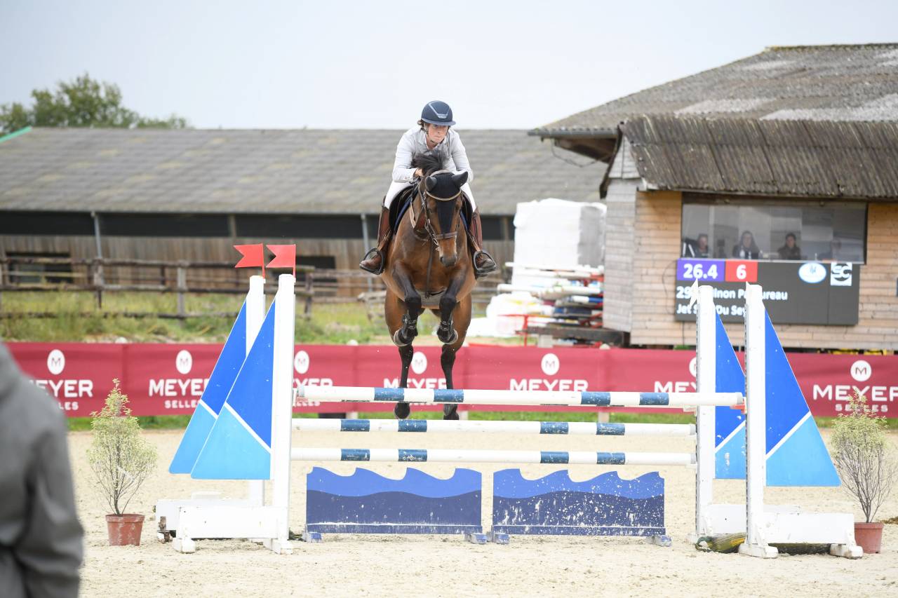 Yegua Silla Francés En venta 2019 Bayo por BALOU STAR