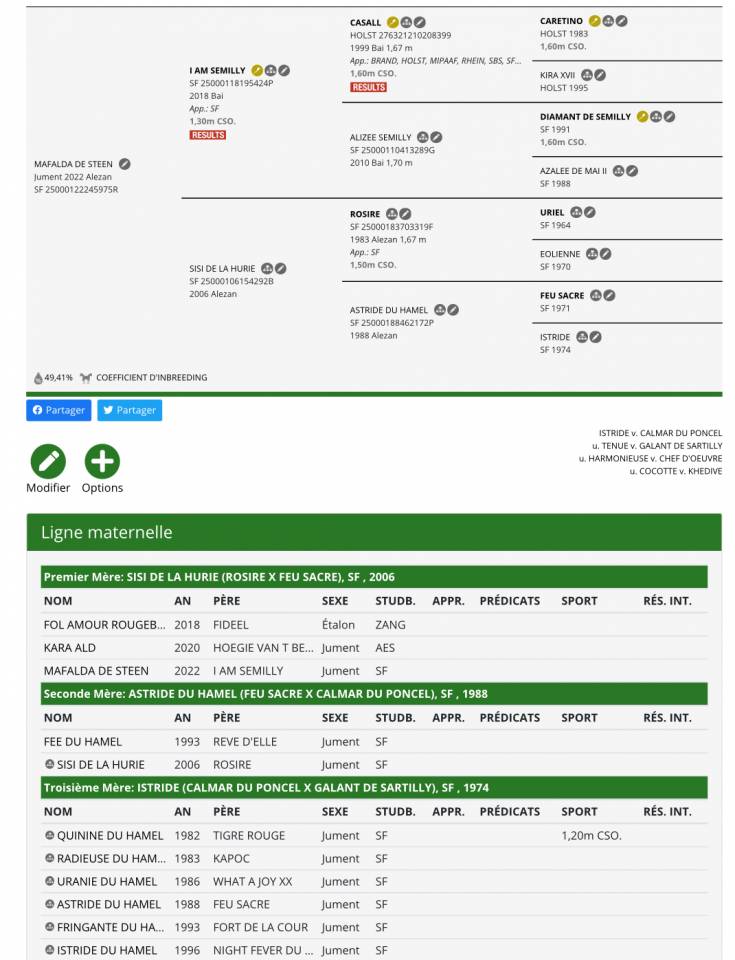 Yegua Silla Francés En venta 2022 Alazán por I Am Semilly