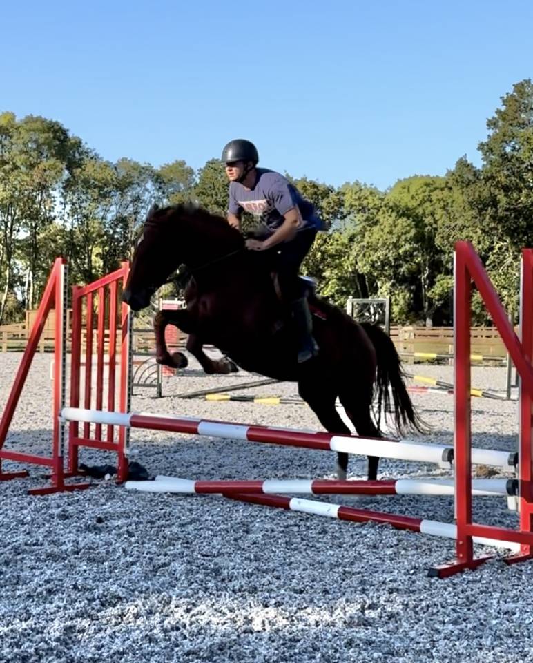 Yegua Silla Francés En venta 2022 Alazán por I Am Semilly