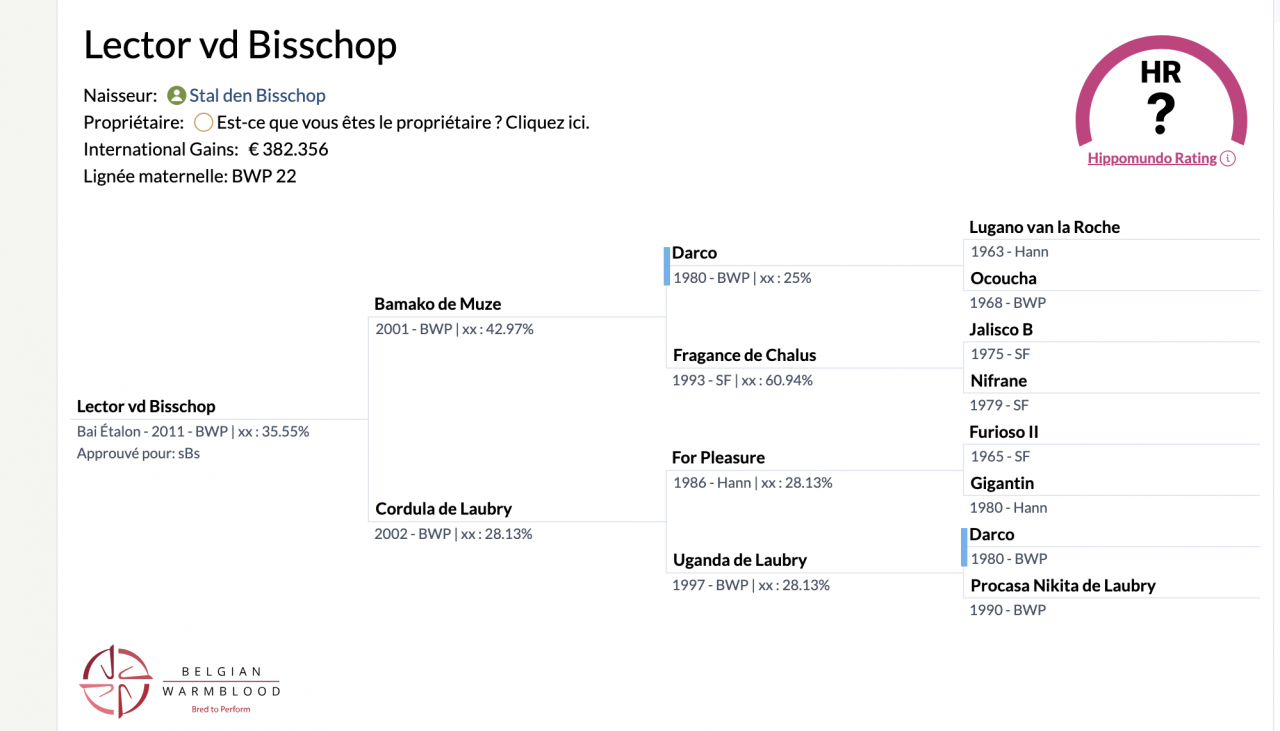 Yegua BWP Caballo de Sangre Belga En venta 2009 Bayo por QUALITY