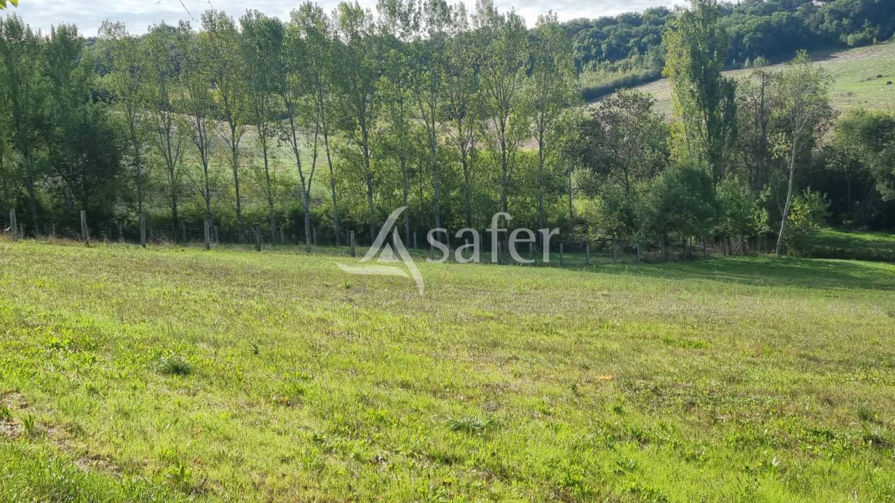 Explotación agrícola En venta Gers