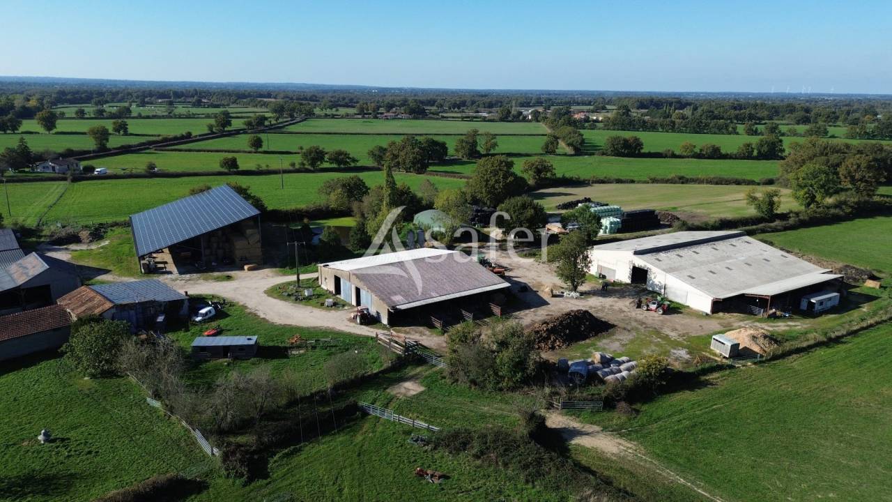 Explotación forestal En venta Deux-Sèvres