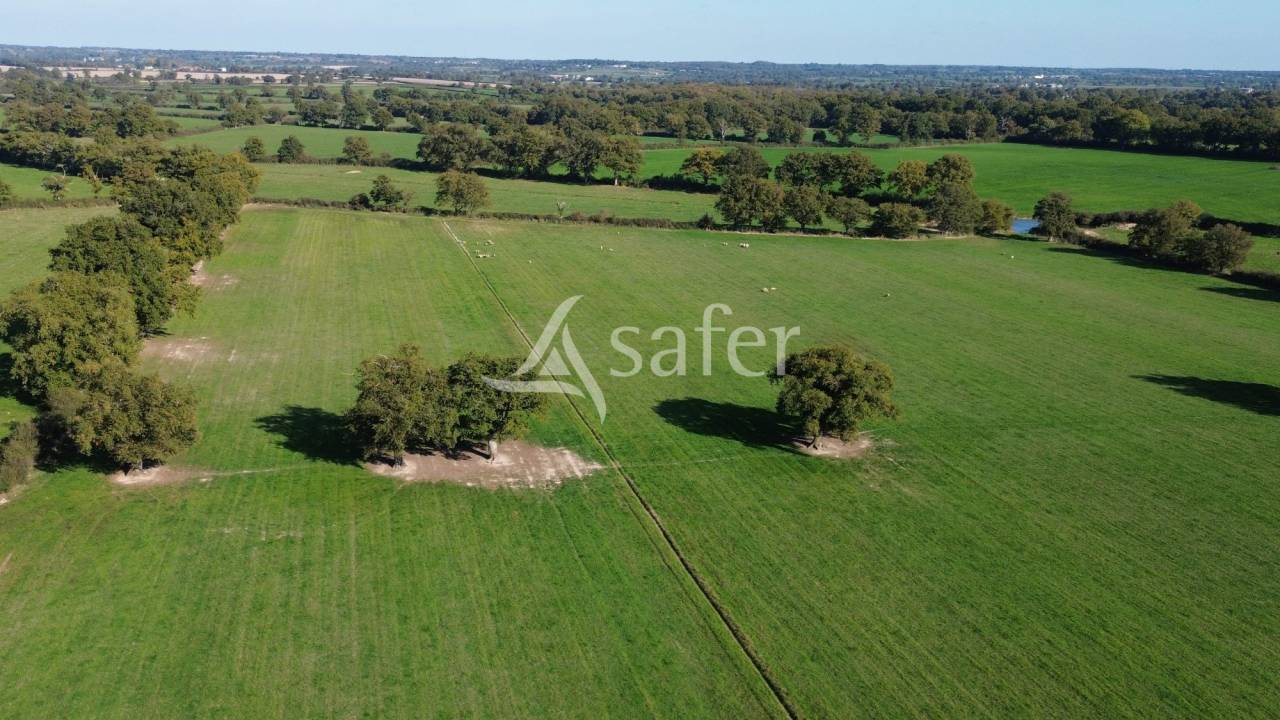 Explotación forestal En venta Deux-Sèvres