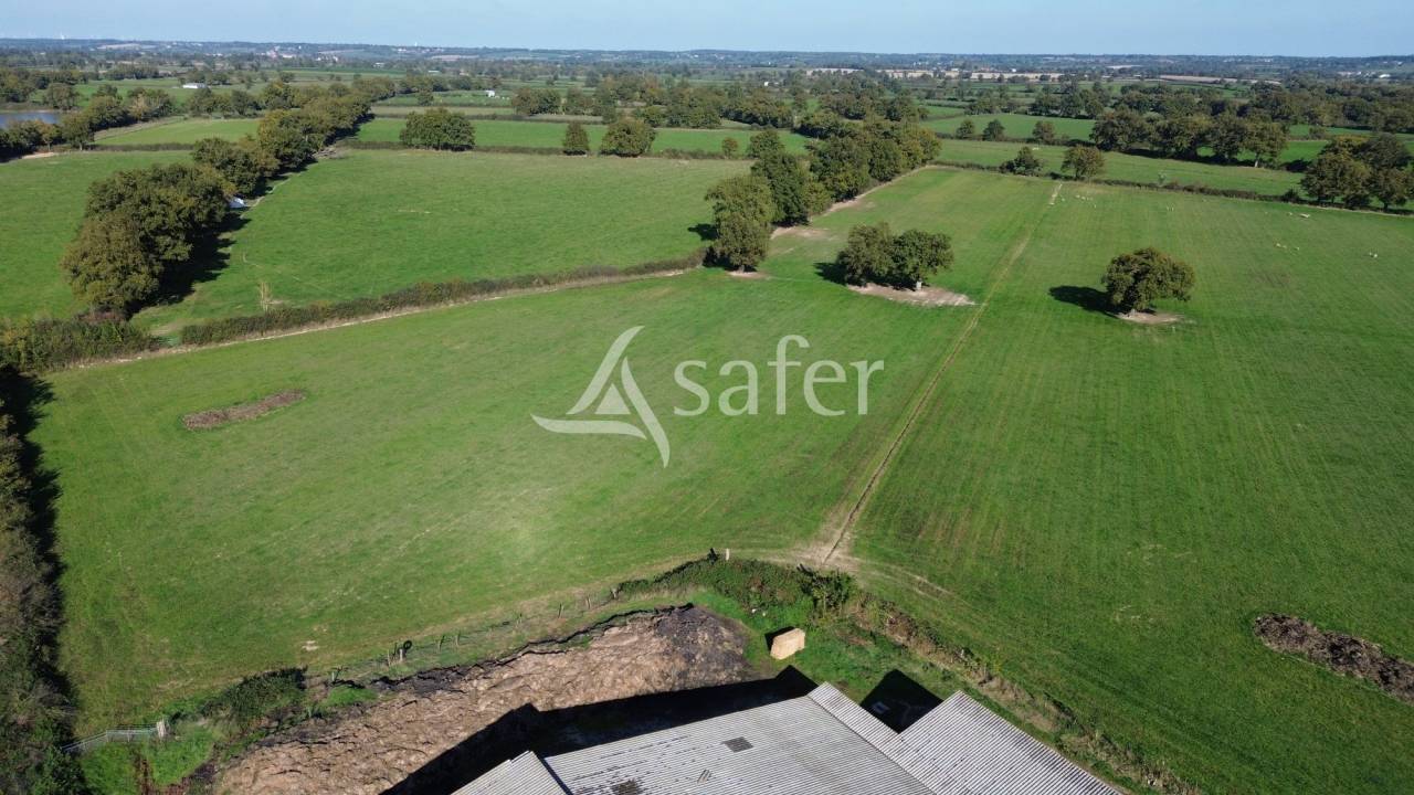 Explotación forestal En venta Deux-Sèvres