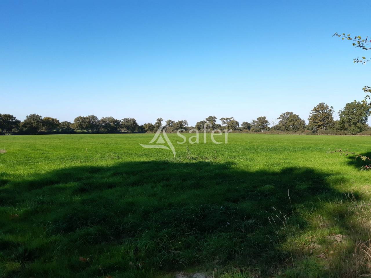 Explotación forestal En venta Deux-Sèvres