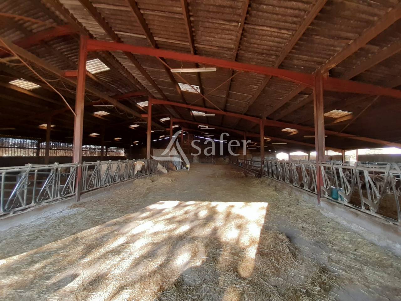 Explotación forestal En venta Deux-Sèvres