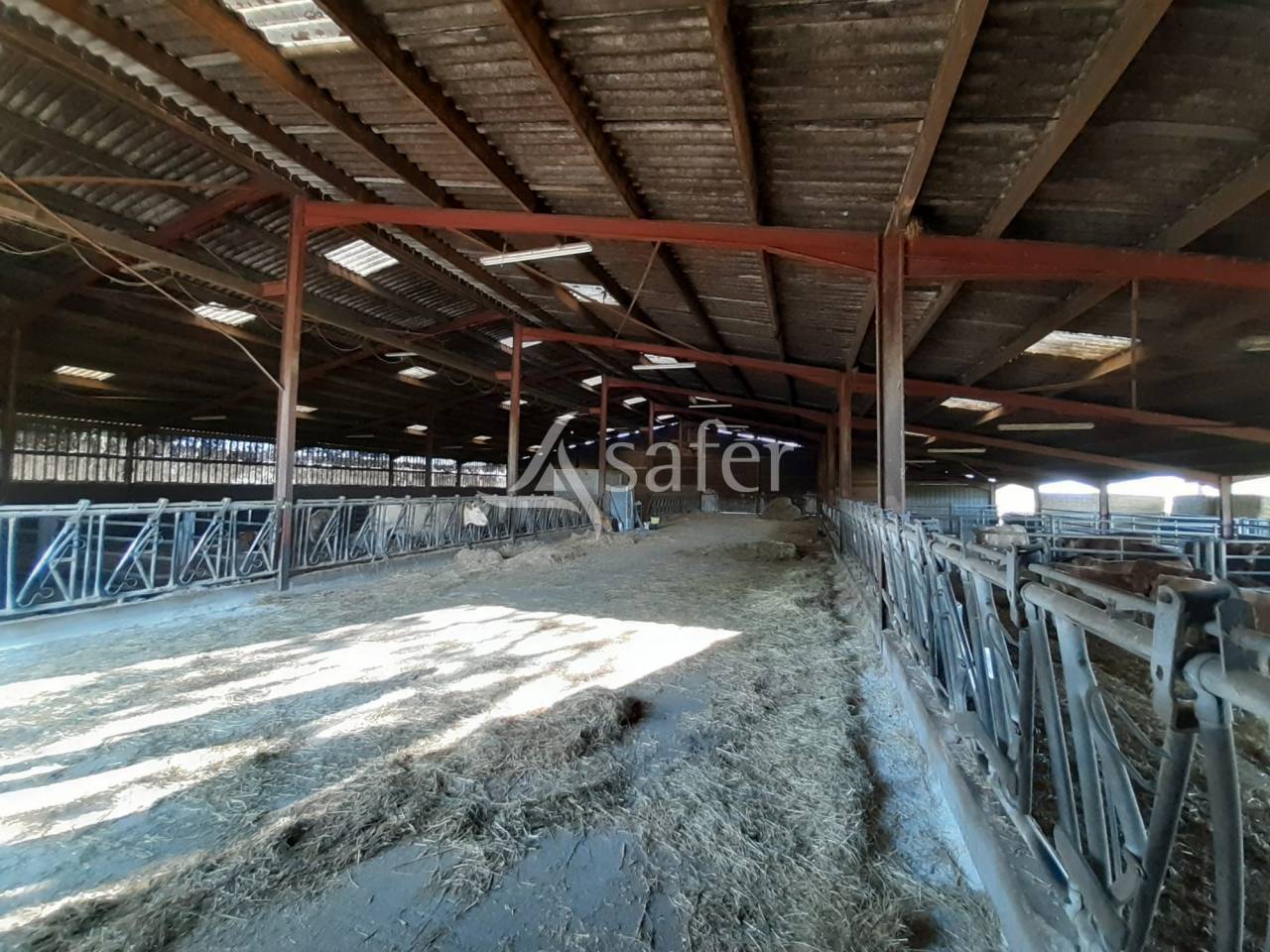 Explotación forestal En venta Deux-Sèvres