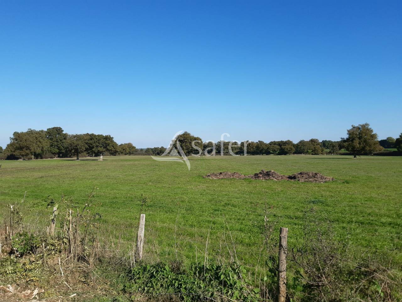 Explotación forestal En venta Deux-Sèvres