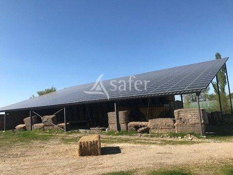 Explotación forestal En venta Deux-Sèvres