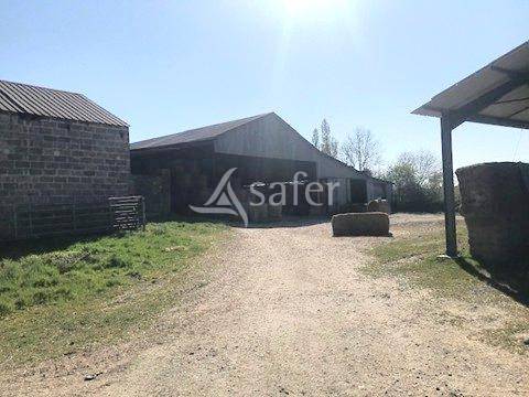 Explotación forestal En venta Deux-Sèvres