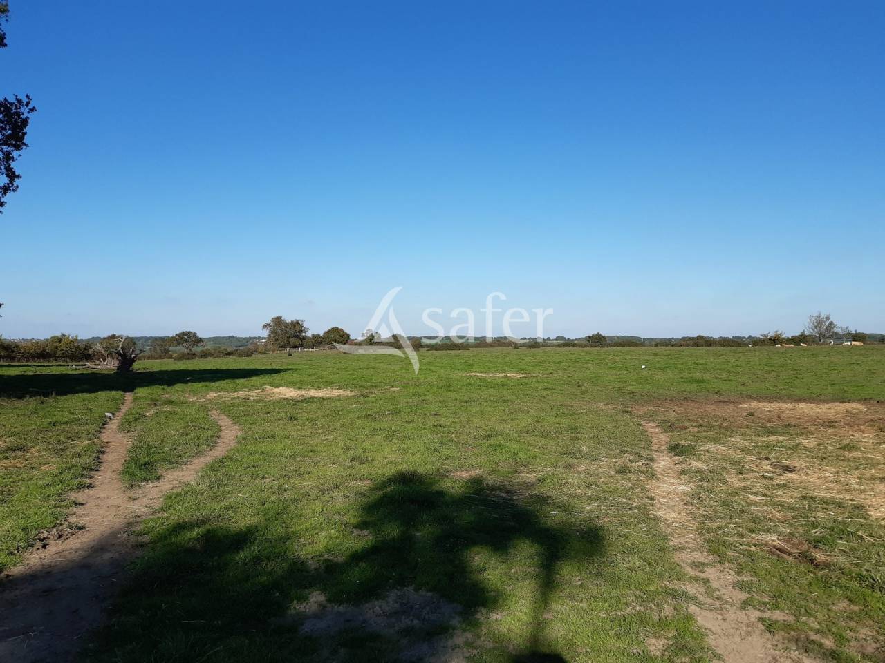 Explotación forestal En venta Deux-Sèvres