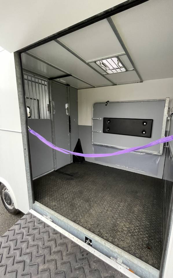 Furgoneta para caballos AP Petit Peugeot Boxer L4   2020 Nuevo