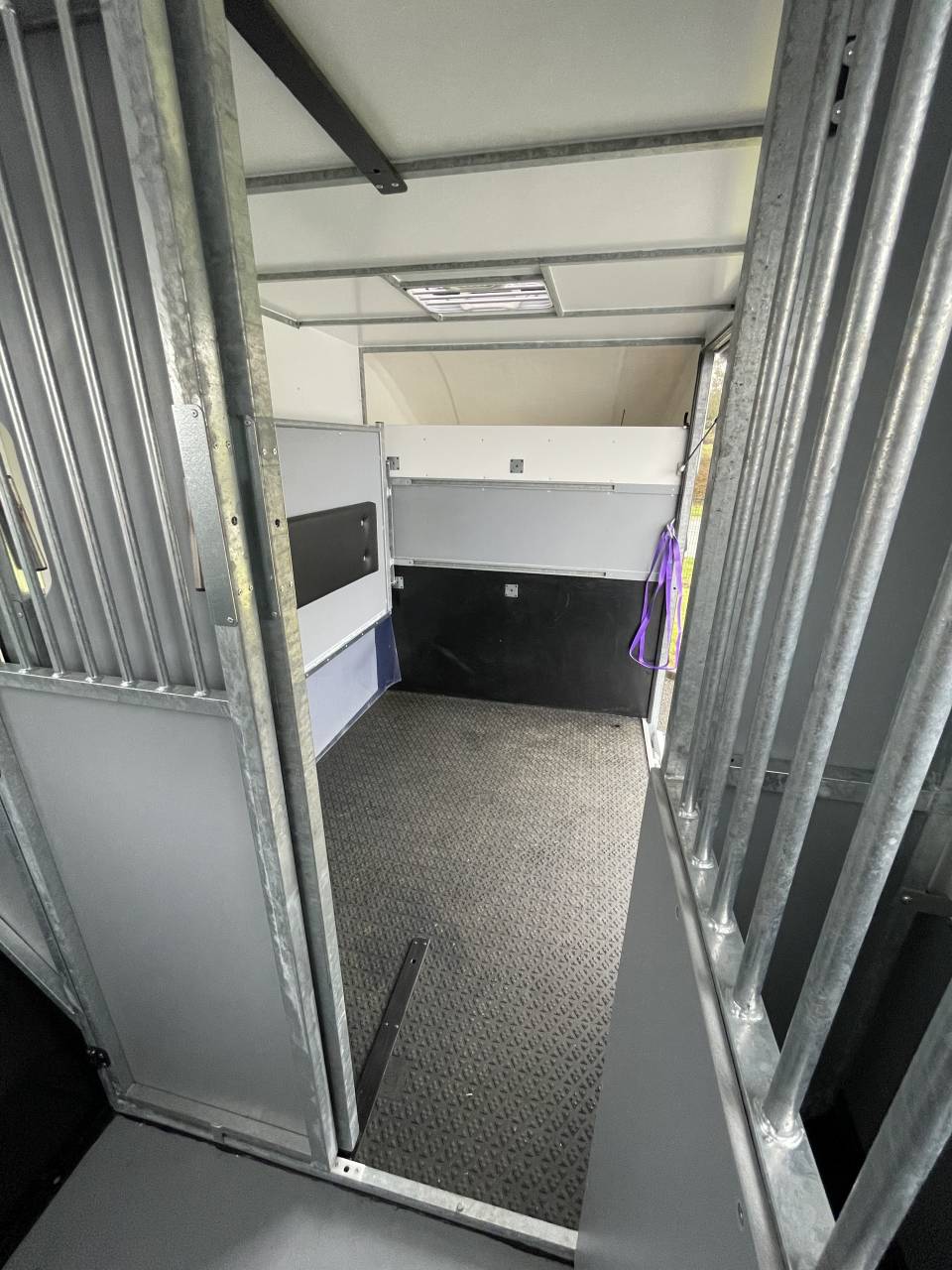 Furgoneta para caballos AP Petit Peugeot Boxer L4   2020 Nuevo