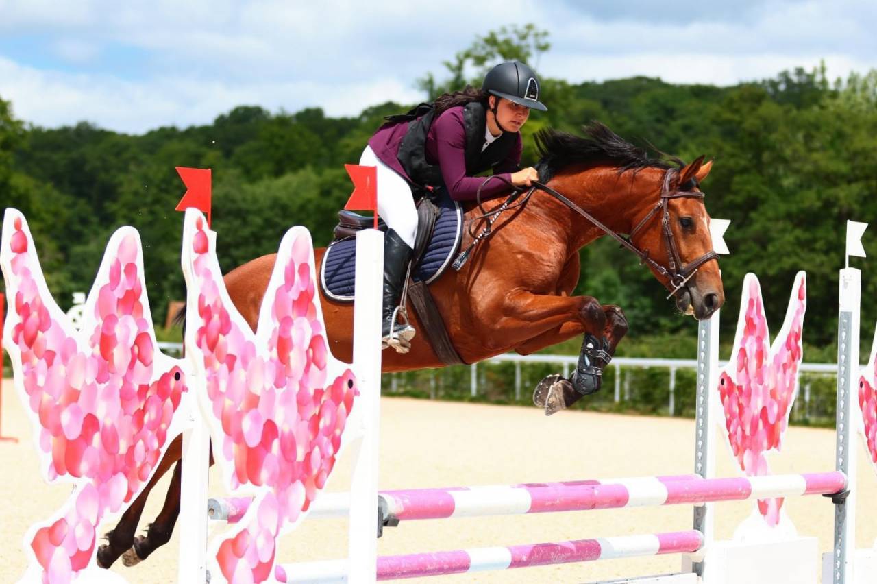 Yegua Silla Francés En venta 2019 Bayo por Bandro Boy