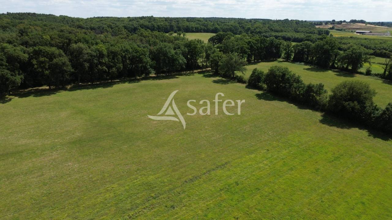 Explotación agrícola En venta Vienne