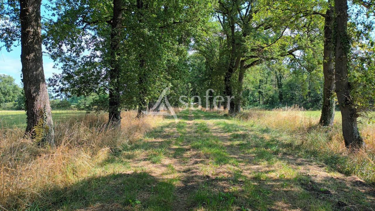 Explotación agrícola En venta Vienne