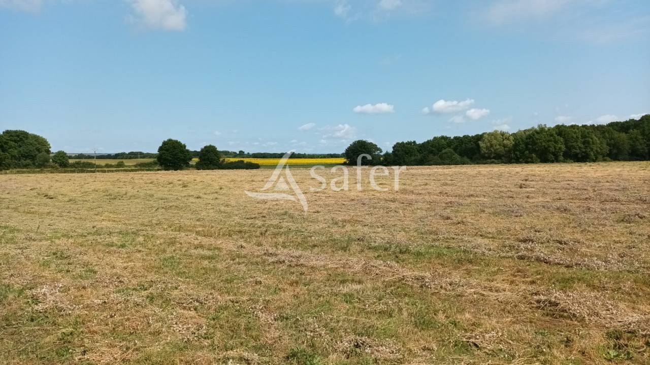 Explotación agrícola En venta Vienne