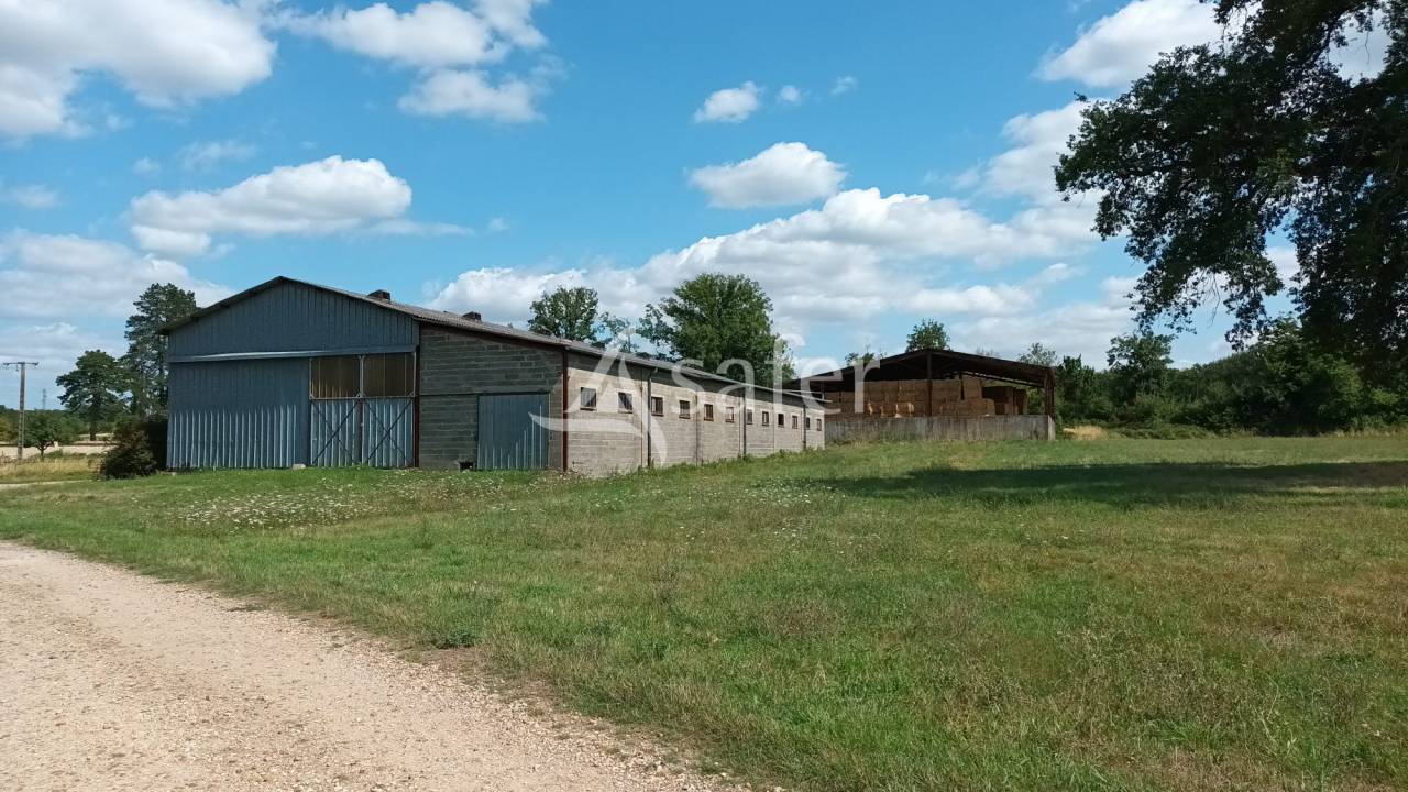 Explotación agrícola En venta Vienne