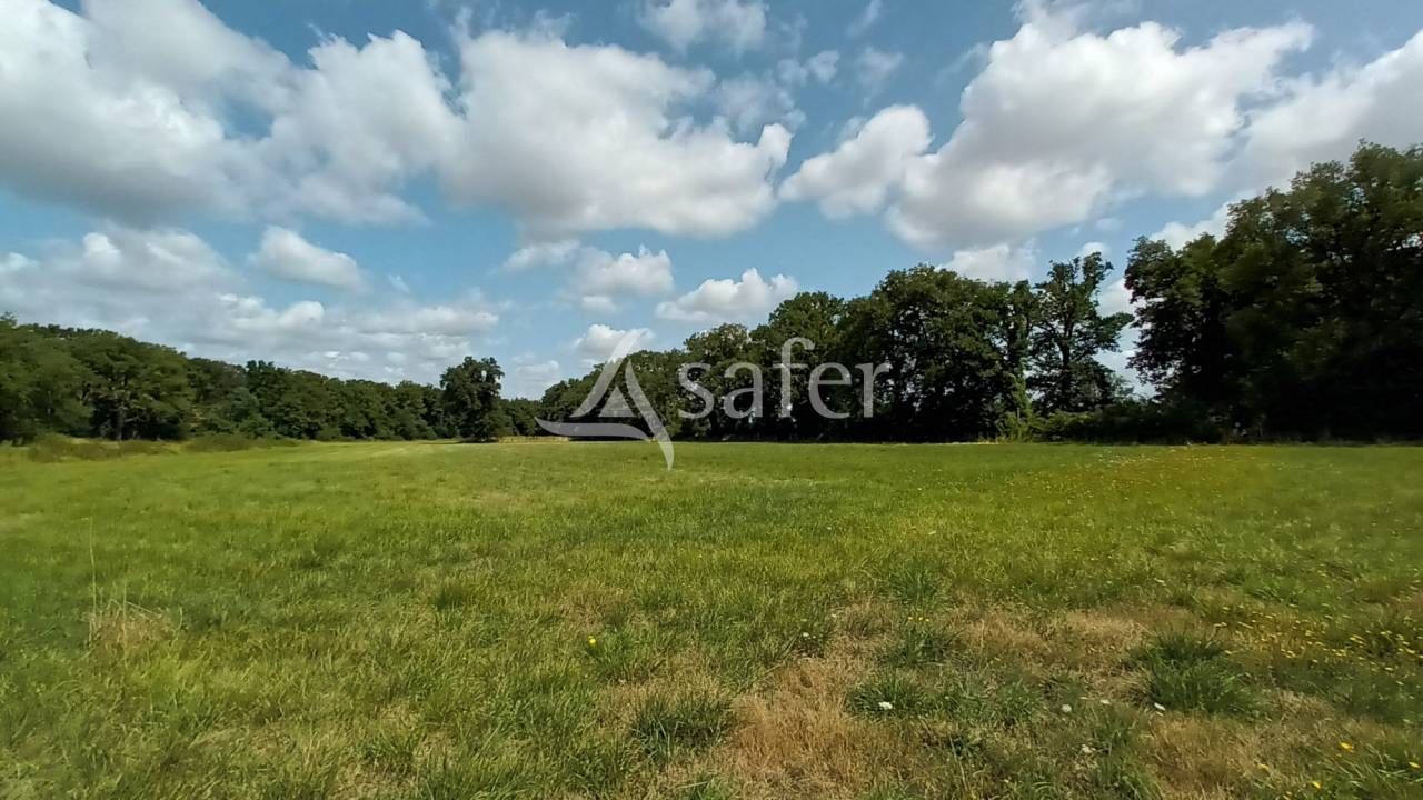 Explotación agrícola En venta Vienne