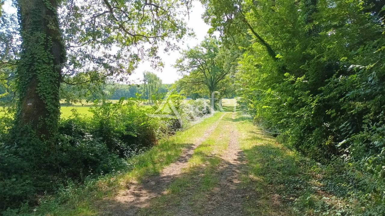 Explotación agrícola En venta Vienne