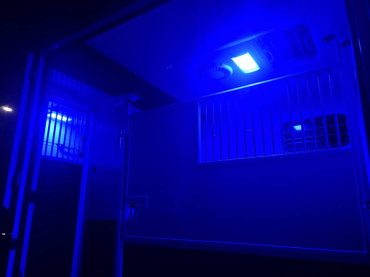 Furgoneta para caballos Renault MTM 2017 De segunda mano