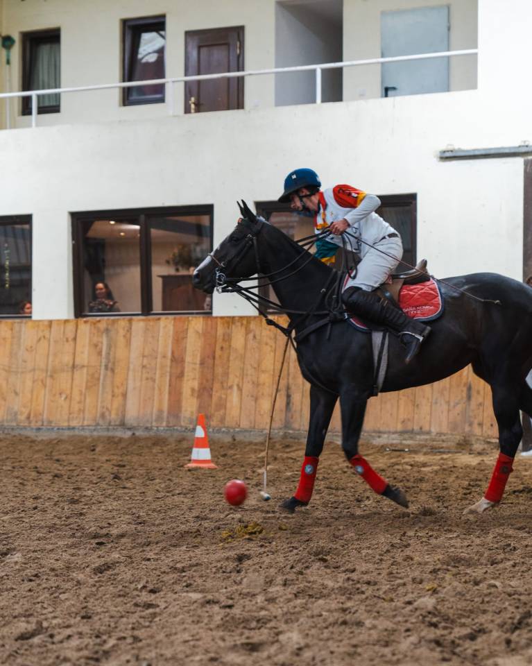 Potranca Pura Sangre En venta 2016 Bayo moreno